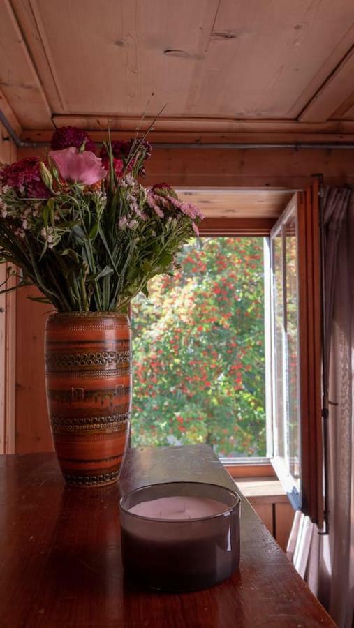Ferienhaus Septimer Bivio Exterior foto